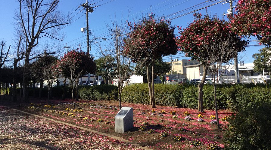 🌳 미즈호 생태 공원(미즈호 에코 파크) 이미지 7